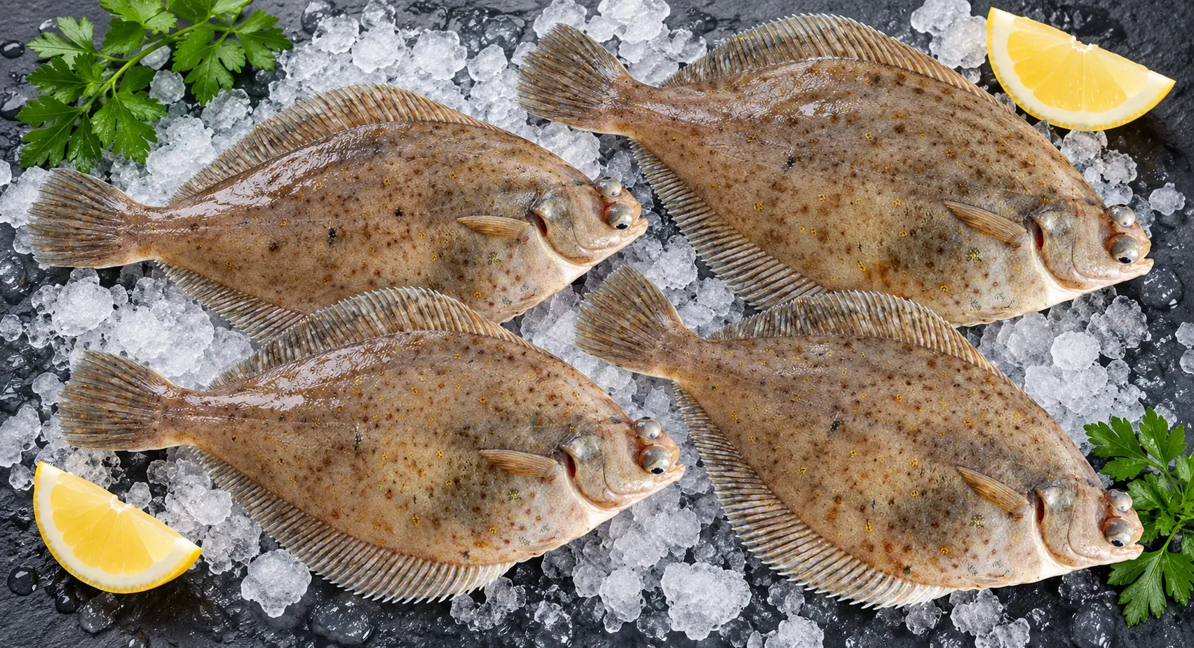 Whole dabs flounder